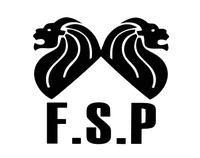برند سازنده قطعه خودرو FSP
